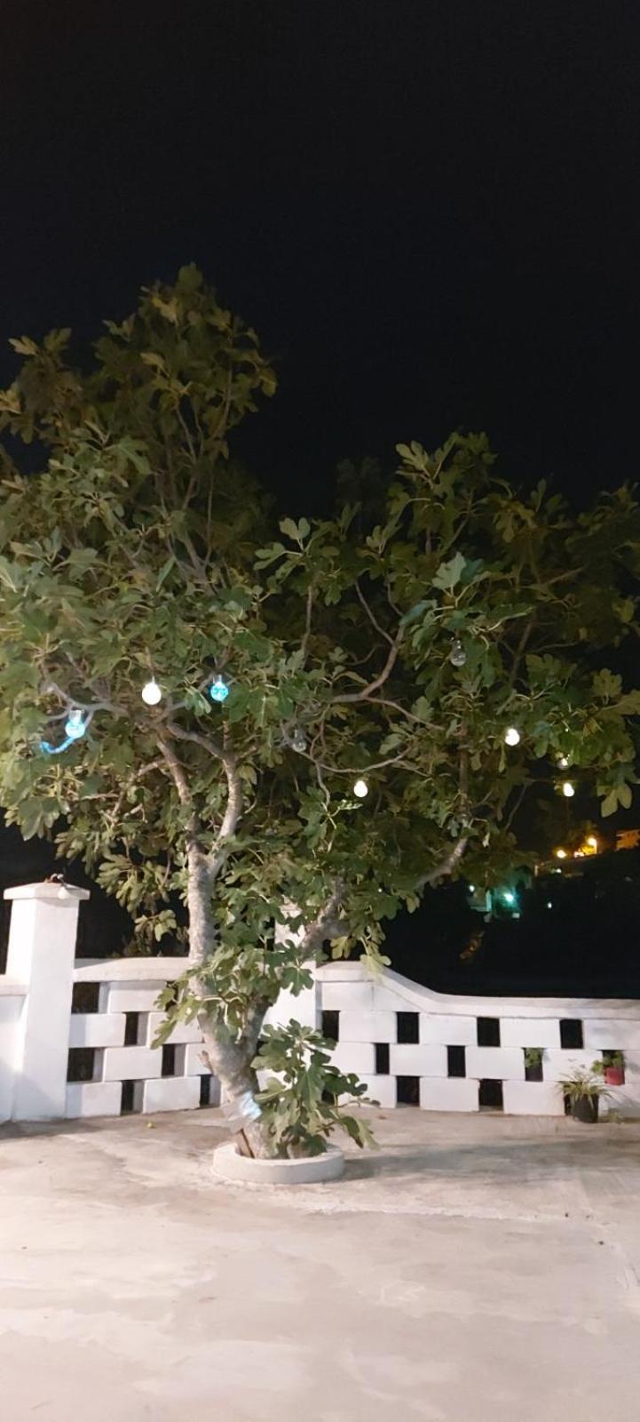 קרוואביצה Apartment Biokovo מראה חיצוני תמונה