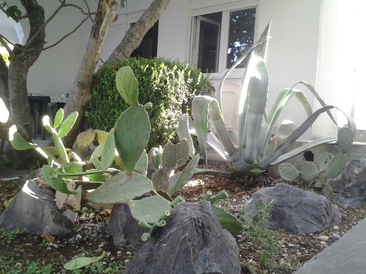 קרוואביצה Apartment Biokovo מראה חיצוני תמונה